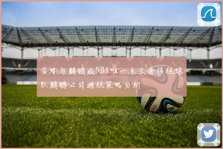 黄蜂与鹈鹕成NBA唯一未交奢侈税球队鹈鹕必将避税策略分析
